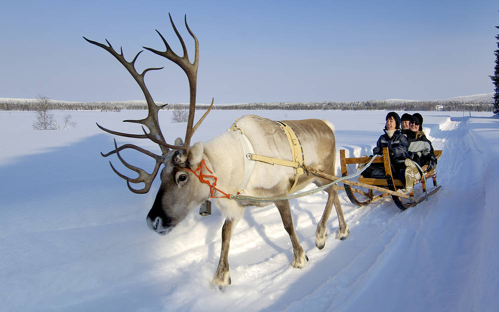 iso-syote_reindeerfarm